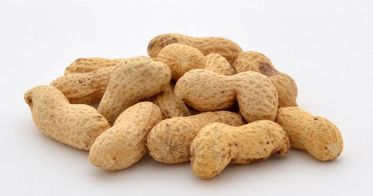 落花生（ピーナッツ）